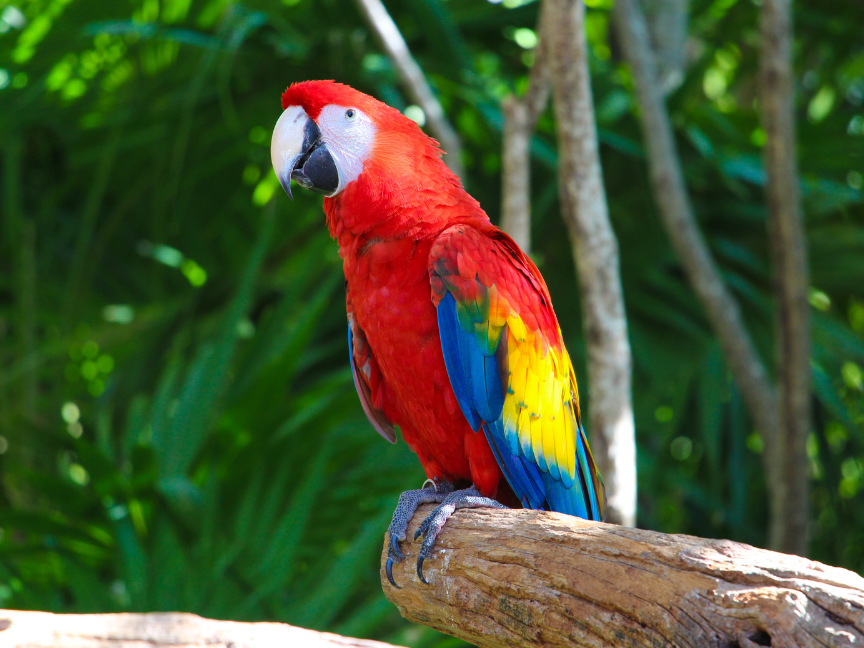 Xcaret Park underground river